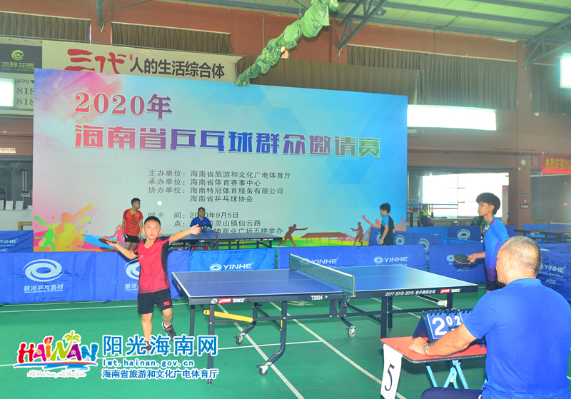 替代的冲击 替代的冲击